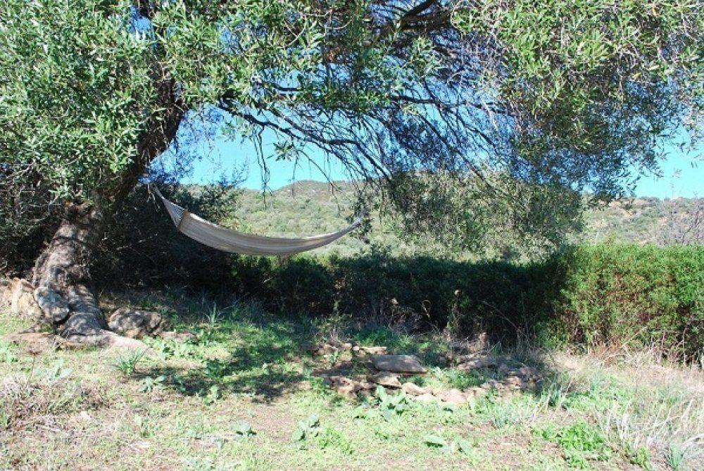Hotel Essenza Sardegna Torpè Exterior foto